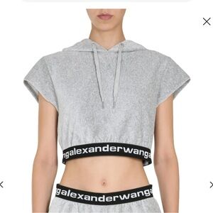 Alexander Wang Gray Cropped Hoodie